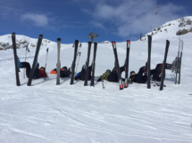 Schneesternli zeigen ihr Werkzeug